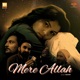 Mere Allah Single