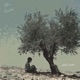 Olive Branches Single