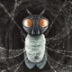 Chaos for the Fly feat Jennifer Jess Single