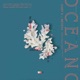 Oceano