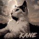 Kane EP