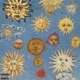 old brazen sun feat NAHreally Single
