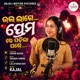 Bhala Lage Premare Padila Pare Single
