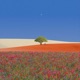 Mother Nature Single