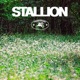 STALLION EP