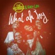 What ah Joy feat Exco Levi Single
