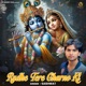 Radhe Tere Charno Ki Single