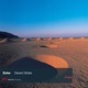 Desert Strike Single