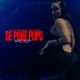 Se Pone Pupu Remix feat Sael Lolo OG Don Chezina Yael YTBM Single