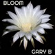 Bloom Single