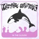In the Clouds Single