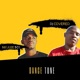Dance Tune feat Nkulee501 Alternate Version Single