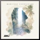 Manifest Everything Extended Mix Single
