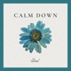 Calm Down Single