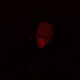 FLVSHBVNG Single