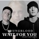 Wait For You feat Devlin Single