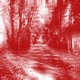 Warp Single