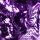 SEHRA 2 EP