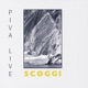 Scoggi Live