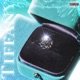 TIFFANY Single