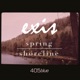 Spring Shoreline Single