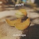 Cantaloupe Single