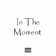 In the Moment Single