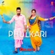 Phulkari From Daaka Single