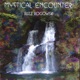 Mystical Encounter