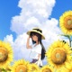 Lifestyler Single