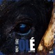 Ole feat StacCz Single