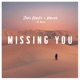 Missing You feat Alisa Single