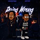 Doing wrong Always Single