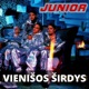 Vienišos širdys DJ Mix