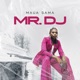 Mr DJ Single