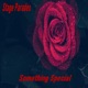 Something Special Single