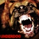 Underdog Single