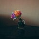 Sunshine Rainbows Single