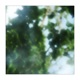 fleeting moments Single