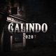 Galindo 2020 Single