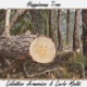 Happiness Tree Single