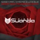 Desert Rain Frainbreeze Remix Sunset Symsonic Presents Single