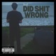 Did shit wrong Single