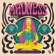 Madness With You Single