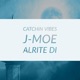 Catchin Vibes Single