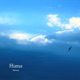 Hiatus Single