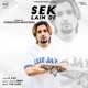 Sek Lain De Remix Single