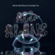 All Alone Single