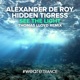 See the Light Thomas Lloyd Remix Single