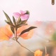 Get Well Soon Single